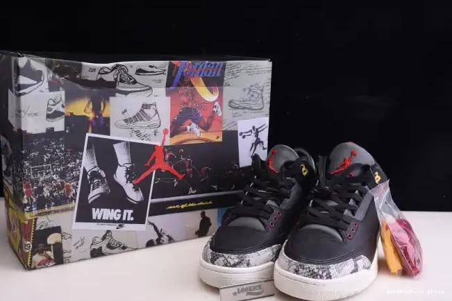 Rep Jordan Retro SE Instinct CV3583-003 2.0 Animal 3 - Air 0529